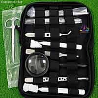 Dissection kit for Entomology
