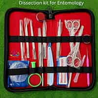 Dissection kit for Entomology