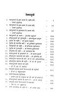 Divya Vyaktitwa Ki Jhankiya 2 Volume Set दिव्य व्यक्तित्व की झाँकियाँ: शिवानन्द स्मृतिसंग्रह