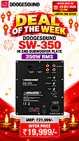 Doogesound DS-350 Class D Subwoofer Amplifier Plate, 350W RMS