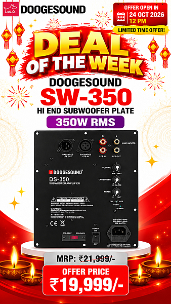 Doogesound DS-350 Class D Subwoofer Amplifier Plate, 350W RMS