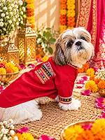 Laal Gulab Embroidered Kurta for Pets
