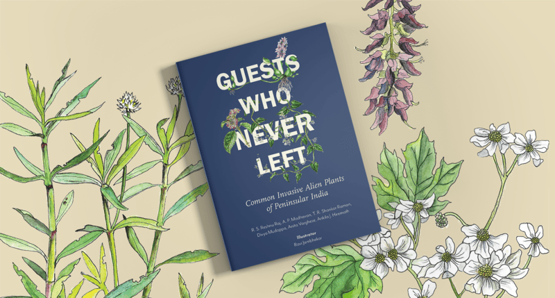 Guests Who Never Left: Common Invasive Alien Plants of Peninsular India Guests Who Never Left: Common Invasive Alien Plants of Peninsular India