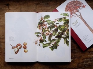 Pillars of Life New Pillars of Life New