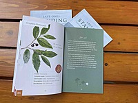 Last Ones Standing: Eleven threatened trees of the Western Ghats Rainforests Last Ones Standing: Eleven threatened trees of the Western Ghats Rainforests