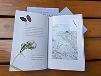 Last Ones Standing: Eleven threatened trees of the Western Ghats Rainforests Last Ones Standing: Eleven threatened trees of the Western Ghats Rainforests