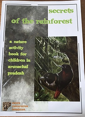 Secrets of the Rainforest