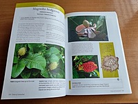 Trees of Arunachal: a Field Guide Trees of Arunachal: a Field Guide