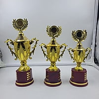 RC-CP1502K E GOLD 27CM
