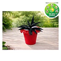Valentine Plastic Plant Pot | 9 Inch | Decorative Garden Planter