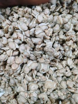 ELAMBAKA MEAT -500gm