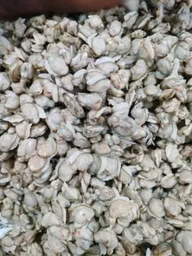 ELAMBAKA MEAT -500gm