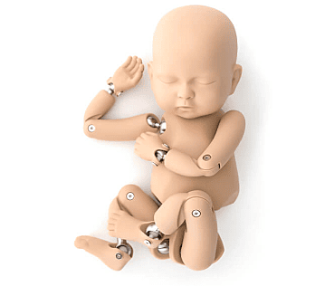 Dummy Doll (Teaching)