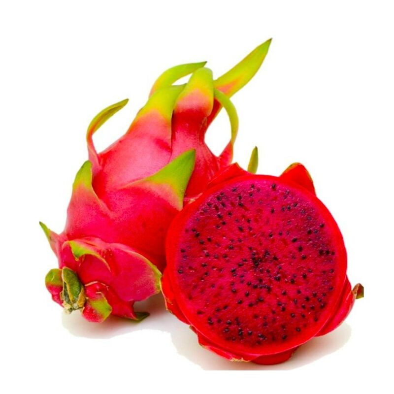 Dragon Fruit- 1 Pc (450-550Gm)
