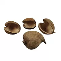 LeafnDeor dried Buddha nut shells, natural home decor, potpourri, and eco-friendly craft projects