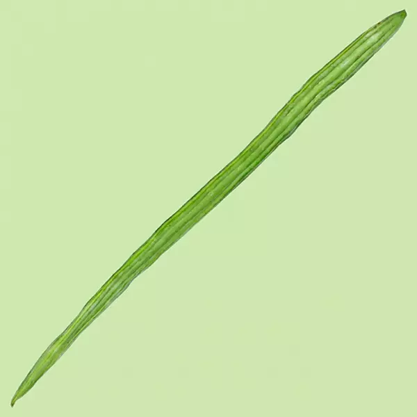 Drumstick 1 pc