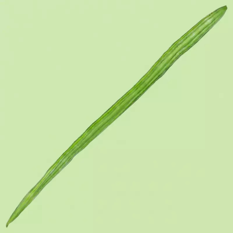 Drumstick 1 pc