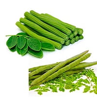 DRUMSTICK (Munagakaya)