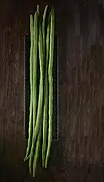 Drumsticks మునగకాయ