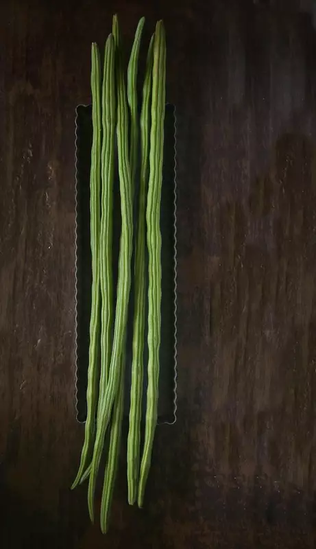 Drumsticks మునగకాయ