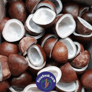 Dry Copra | Endu Kobbari Dry Copra | Endu Kobbari