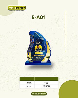 E-A01 10'' SPL 25.50cm 18%