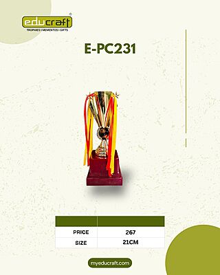 E-PC231S 21CM 18%