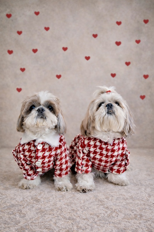 Red & White Tweed Coat Dress