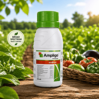 Ampligo Insecticide | Vetrivel Agro Services