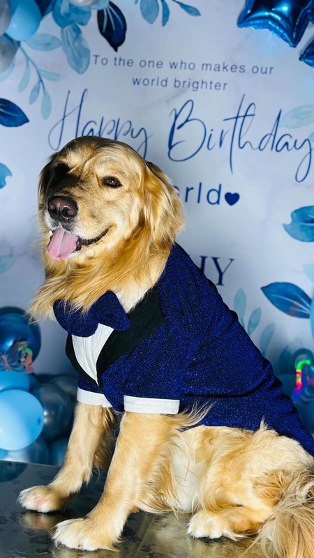 Royal Blue Shimmer Tuxedo