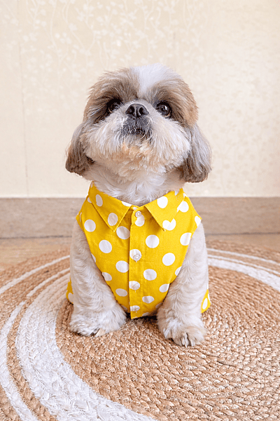 Yello Polka Shirt