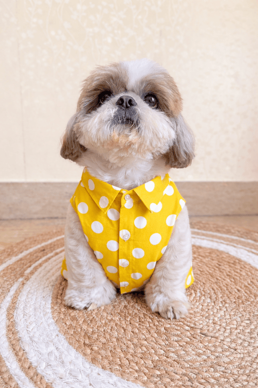 Yello Polka Shirt