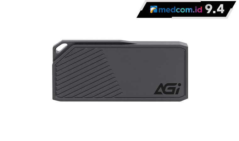AGI 1TB Portable SSD Iron Grey ED238