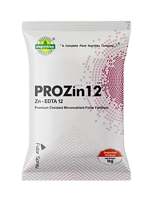 EDTA ZN by Mahafeed-500 gm