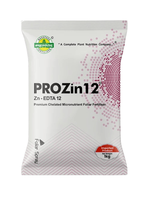 EDTA ZN by Mahafeed-500 gm