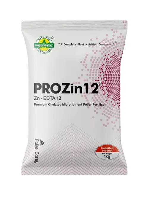 EDTA ZN by Mahafeed-500 gm