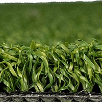 EventTurf™ - EG-10