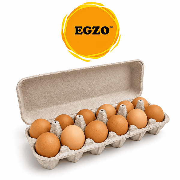 EGZO Free Range Brown Eggs 12pcs