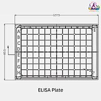 ELISA Plate