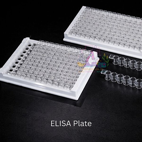 ELISA Plate