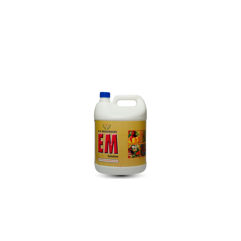 EM Solution: Protect Crops/plants from fungal and bacterial diseases