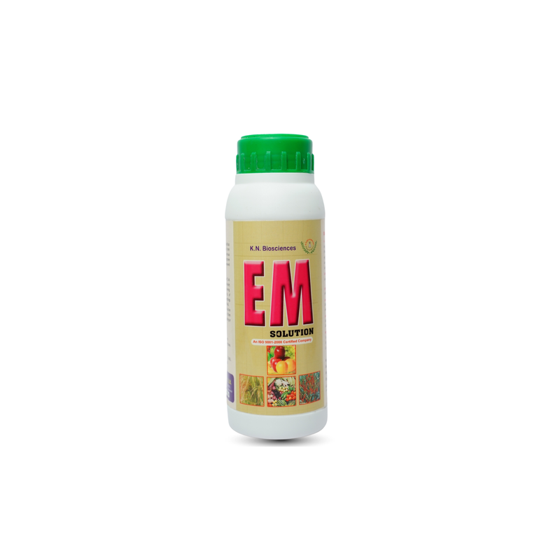 EM Solution: Protect Crops/plants from fungal and bacterial diseases