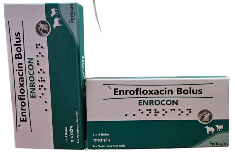 ENROFLOXACIN 1500 mg BOLUS