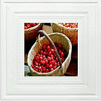 White Fruit Wall Stickers Panel Self Adhesive