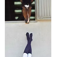 Equitheme Resille Socks - Navy/pink