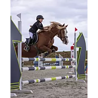 EQUITHEME CLASSIC SOFTSHELL JACKET