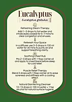 Eucalyptus Essential Oil - 10ml