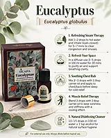 Eucalyptus Essential Oil - 10ml