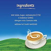 EVERYDAY DAIRY CREAMER - 400G