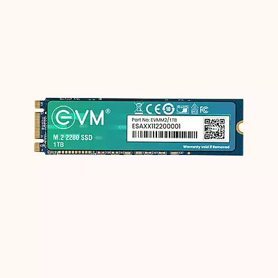 EVM 1TB M.2 SATA Internal SSD